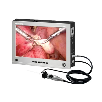Ligoninės Chirurgijos Įrangos 32 Colių All-in-one Hd Medicinos Endoskopą Fotoaparato Ekranas Display1.0 ekrano versija