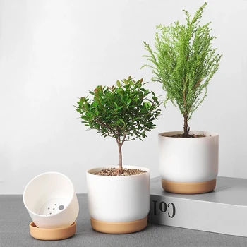 Mažos Baltos Keramikos Sodinamoji Mini Gėlių Konteinerių Patalpų su Drenažo Skylę Succulents ar Kaktusas -Didelis/Mažas