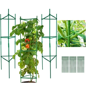 Pomidorų Narvuose Augalai Paramos Statymų 4 Pėdų Aukščio Kolonėlė Sumontuotos Vertikalios Vijokliniai Augalai, Augaliniai Pinučių Sodo